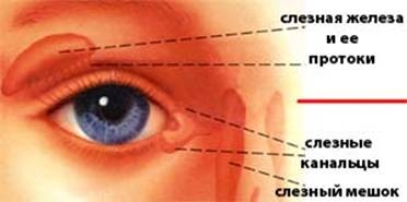cлезоточивый глаз ребенка